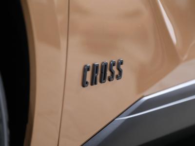 Nouvelle DS 4 (2021) : la finition Cross en vidéo
